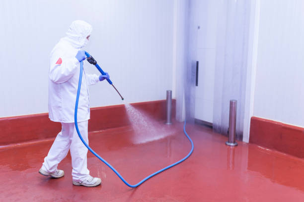 Best Window and Screen Pressure Cleaning in Nicholasville, KY